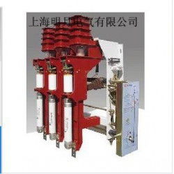 FZN25高壓負(fù)荷開(kāi)關(guān)制造公司_大量供應(yīng)物超所值的FZN25-12高壓負(fù)荷開(kāi)關(guān)
