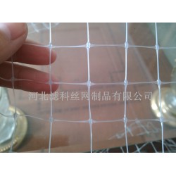 人氣新品，誠意來襲★雙向拉伸塑料網(wǎng)