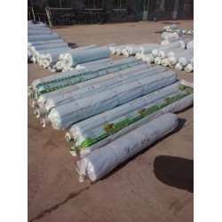 魯一塑料供應(yīng)具有口碑的農(nóng)膜，花卉專用膜