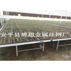 河北全新移動(dòng)苗床，大棚育苗床