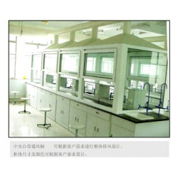 怎么買優(yōu)質(zhì)的實驗室通風(fēng)柜呢  ，南寧實驗室通風(fēng)柜