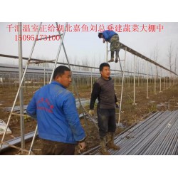 濰坊可靠的蔬菜大棚建造公司，當屬千匯溫室，蔬菜大棚建造