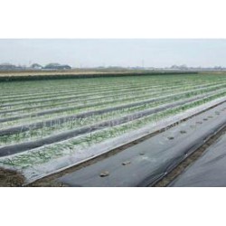 想買(mǎi)品牌好的除草地膜，就到開(kāi)元塑料   ——山東地膜