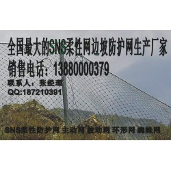 遂寧被動網，新款被動防護網成都有售