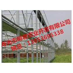 【誠薦】智能溫室大棚建設(shè)訊息，溫室大棚搭建報價