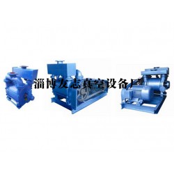 水環(huán)式真空泵供應(yīng)廠家【推*！友志】水環(huán)式真空泵