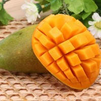 芒果皮要代替塑料？