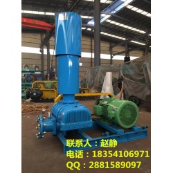【 污水曝氣風(fēng)機(jī)、污水曝氣鼓風(fēng)機(jī)選型、北京曝氣鼓風(fēng)機(jī)廠家】