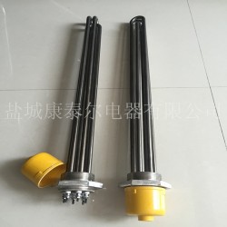 超聲波清洗機(jī)電加熱管 洗滌設(shè)備電加熱管 非標(biāo)定制