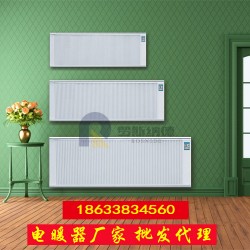 濟(jì)南智能家用碳纖維電暖器 壁掛式可移動式電取暖器 廠家直銷