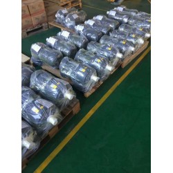 晟邦CPG齒輪減速電機