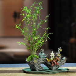 武漢辦公室盆栽室內(nèi)盆景公司花卉，武漢室外苗木商場綠植工廠盆栽