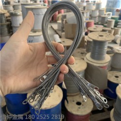 燈飾專用304不銹鋼鋼絲繩，吊燈繩，鋼絲繩鎖具，包膠鋼絲繩
