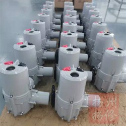 角行程電動執(zhí)行器F-DQW10，扭矩100NM鋁殼機型