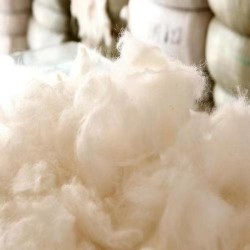 廣東進口俄羅斯衣服用料羊毛報關(guān)清關(guān)所需資料分享