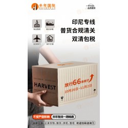 廣州到印尼泗水直航海運多少錢？**印尼雙清到門專線